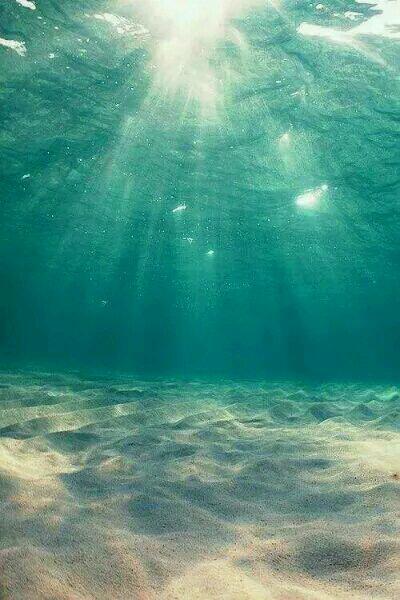 我離開后，絕色總裁反舔我封面