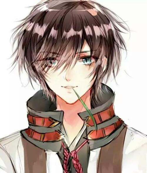 凌明穆北辰最新章節(jié)封面