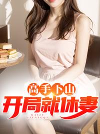 高手下山：開局就休妻封面