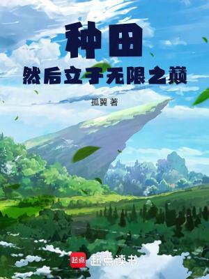 種田然后立于無限之巔封面