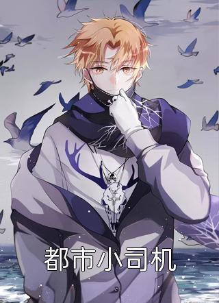 重生之佳妻來襲封面