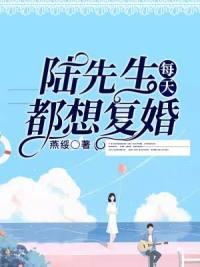 陸先生每天都想復(fù)婚封面