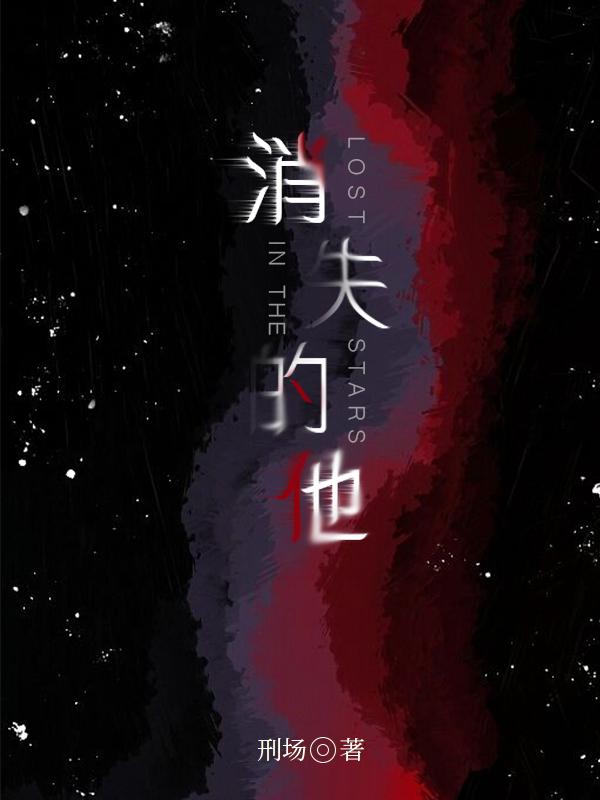 消失的他封面