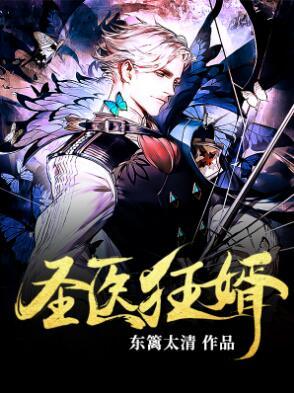 圣醫(yī)狂婿封面